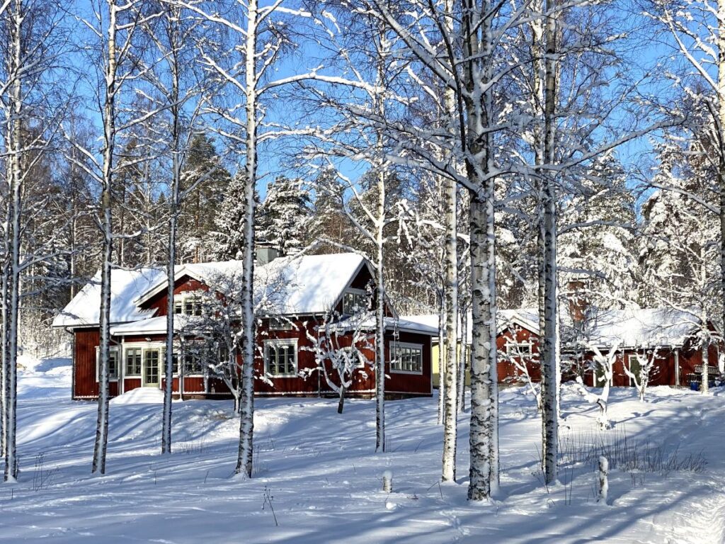 Punmullattu kaksikerroksinen talo koivujen takana. Pehmeä lumikerros ja kirkas sininen taivas.